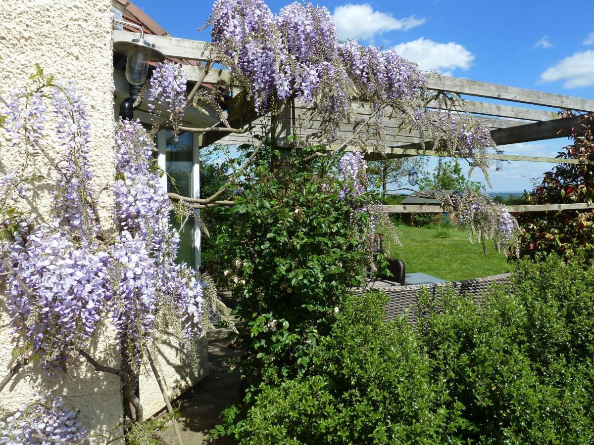 The Lodge, At Orchard Cottage Much Marcle Εξωτερικό φωτογραφία